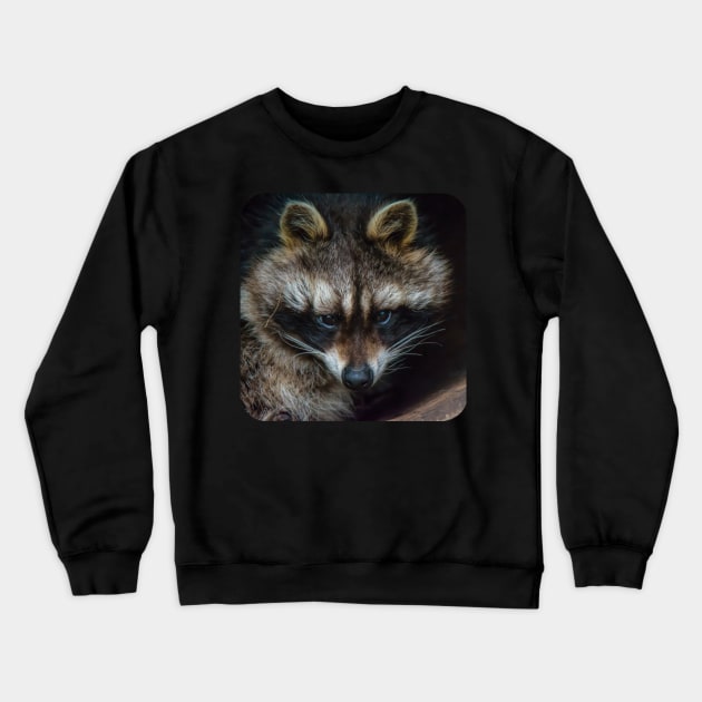 Raccoon Crewneck Sweatshirt by ElviraDraat